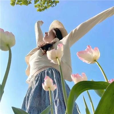 神奇校巴再度启程：太空旅程